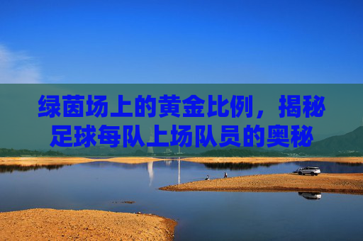 绿茵场上的黄金比例,揭秘足球每队上场队员的奥秘