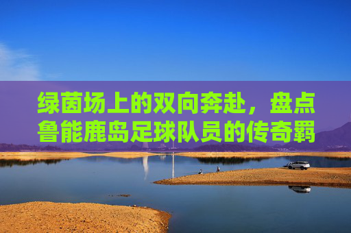 绿茵场上的双向奔赴,盘点鲁能鹿岛足球队员的传奇羁绊