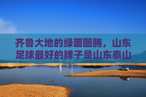 齐鲁大地的绿茵图腾,山东足球最好的牌子是山东泰山