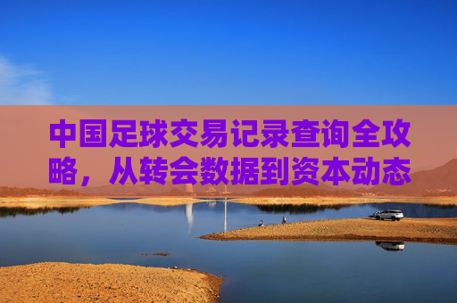 中国足球交易记录查询全攻略,从转会数据到资本动态的深度解析