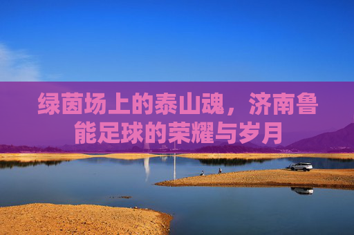 绿茵场上的泰山魂,济南鲁能足球的荣耀与岁月