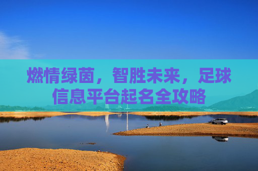 燃情绿茵,智胜未来,足球信息平台起名全攻略