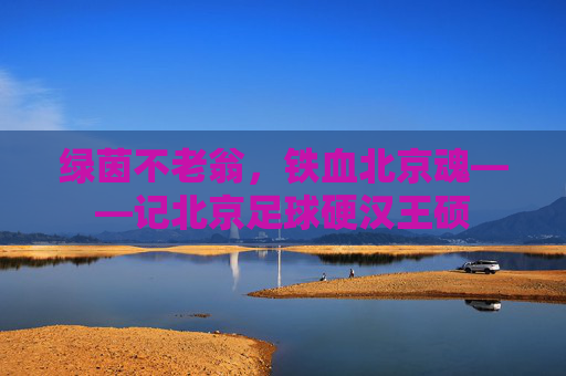 绿茵不老翁,铁血北京魂——记北京足球硬汉王硕