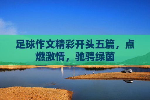 足球作文精彩开头五篇,点燃激情,驰骋绿茵