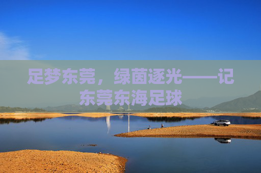 足梦东莞,绿茵逐光——记东莞东海足球