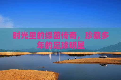 时光里的绿茵传奇,珍藏多年的足球明星