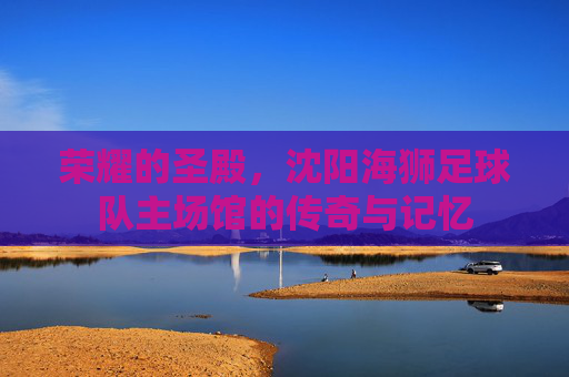 荣耀的圣殿,沈阳海狮足球队主场馆的传奇与记忆
