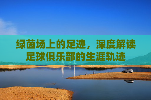绿茵场上的足迹,深度解读足球俱乐部的生涯轨迹