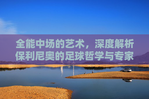 全能中场的艺术,深度解析保利尼奥的足球哲学与专家之道