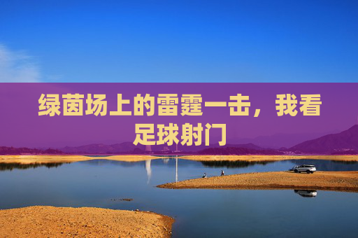 绿茵场上的雷霆一击,我看足球射门