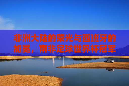 非洲大陆的荣光与西班牙的加冕,南非足球世界杯冠军的永恒记忆