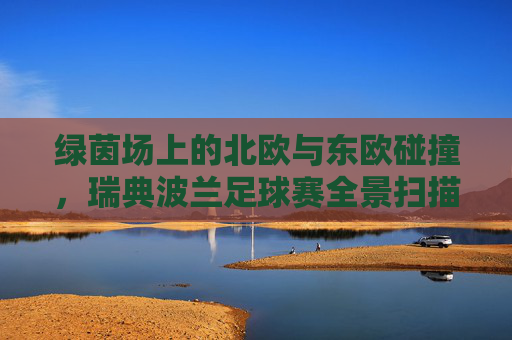 绿茵场上的北欧与东欧碰撞,瑞典波兰足球赛全景扫描