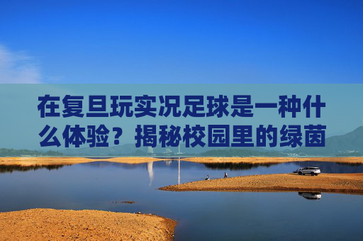 在复旦玩实况足球是一种什么体验?揭秘校园里的绿茵场