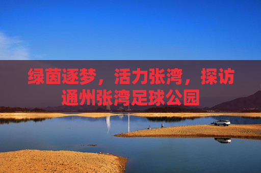 绿茵逐梦,活力张湾,探访通州张湾足球公园