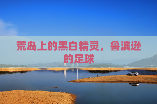 荒岛上的黑白精灵,鲁滨逊的足球