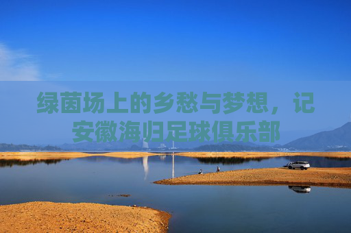 绿茵场上的乡愁与梦想，记安徽海归足球俱乐部
