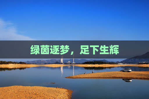 绿茵逐梦,足下生辉