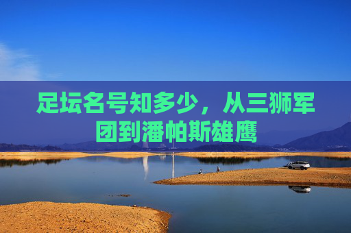 足坛名号知多少，从三狮军团到潘帕斯雄鹰
