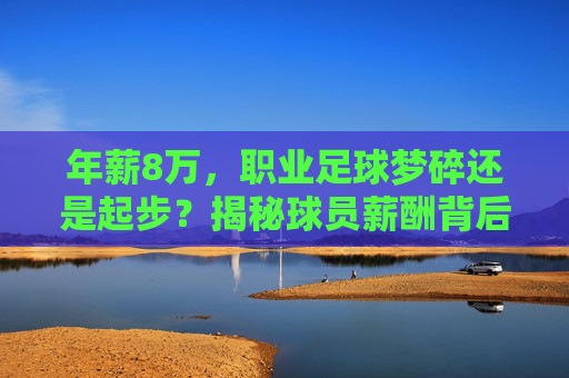 年薪8万,职业足球梦碎还是起步?揭秘球员薪酬背后的残酷真相