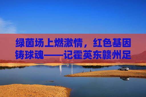 绿茵场上燃激情,红色基因铸球魂——记霍英东赣州足球赛事