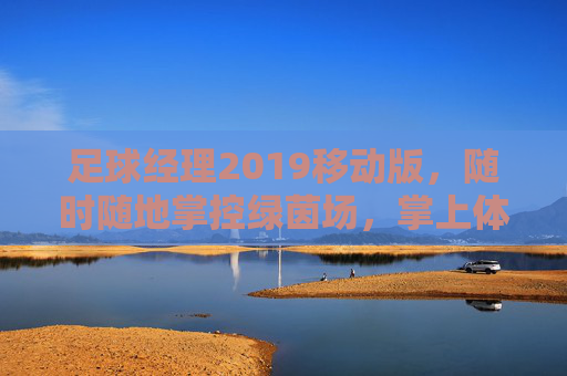 足球经理2019移动版,随时随地掌控绿茵场,掌上体验最纯粹的足球经理乐趣