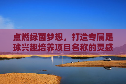 点燃绿茵梦想,打造专属足球兴趣培养项目名称的灵感指南