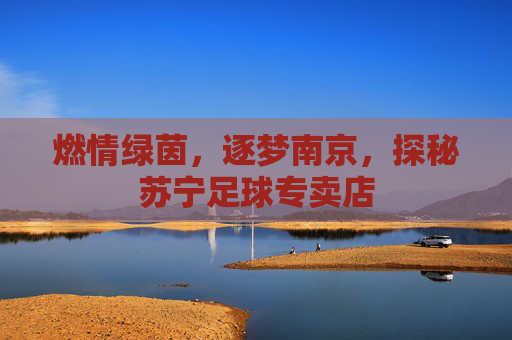燃情绿茵,逐梦南京,探秘苏宁足球专卖店
