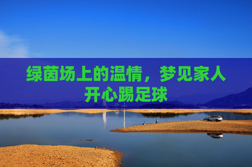 绿茵场上的温情,梦见家人开心踢足球