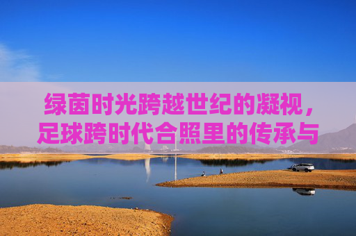 绿茵时光跨越世纪的凝视,足球跨时代合照里的传承与永恒