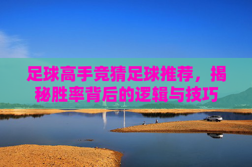足球高手竞猜足球推荐,揭秘胜率背后的逻辑与技巧