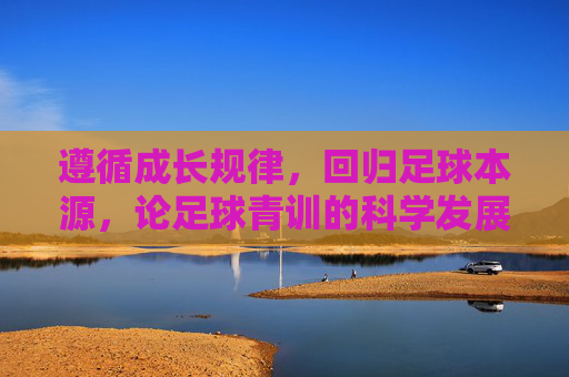 遵循成长规律,回归足球本源,论足球青训的科学发展与未来路径