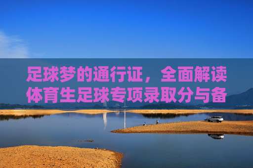 足球梦的通行证,全面解读体育生足球专项录取分与备考策略