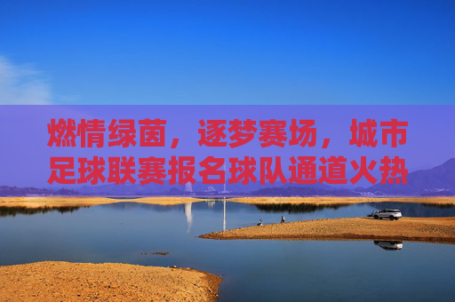 燃情绿茵，逐梦赛场，城市足球联赛报名球队通道火热开启！