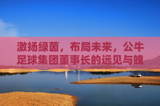 激扬绿茵,布局未来,公牛足球集团董事长的远见与魄力