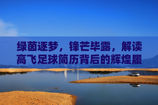 绿茵逐梦,锋芒毕露,解读高飞足球简历背后的辉煌履历