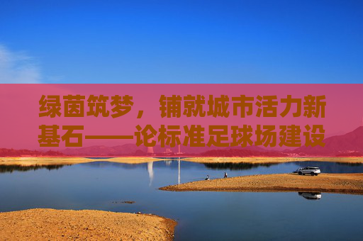 绿茵筑梦，铺就城市活力新基石——论标准足球场建设的深远意义