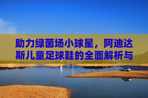 助力绿茵场小球星,阿迪达斯儿童足球鞋的全面解析与选购指南