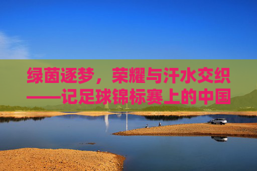 绿茵逐梦,荣耀与汗水交织——记足球锦标赛上的中国队员
