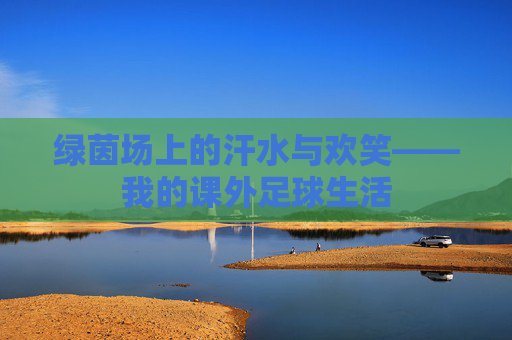 绿茵场上的汗水与欢笑——我的课外足球生活