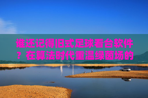 谁还记得旧式足球看台软件?在算法时代重温绿茵场的纯真与激情