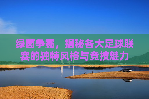 绿茵争霸，揭秘各大足球联赛的独特风格与竞技魅力