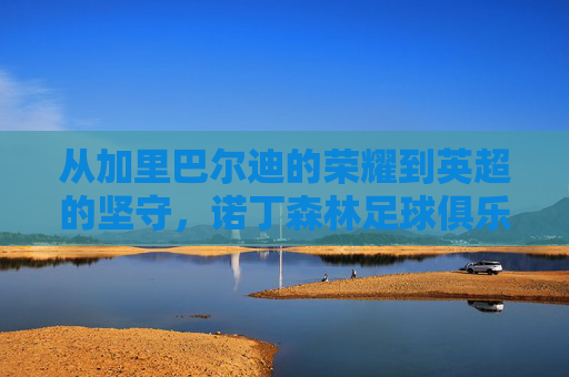 从加里巴尔迪的荣耀到英超的坚守,诺丁森林足球俱乐部的传奇史诗