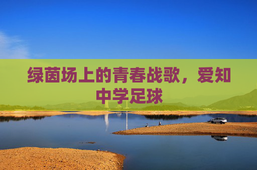 绿茵场上的青春战歌,爱知中学足球