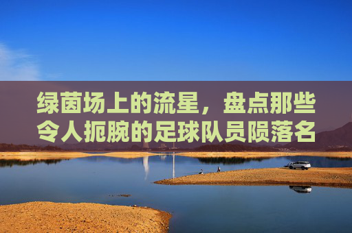 绿茵场上的流星,盘点那些令人扼腕的足球队员陨落名单