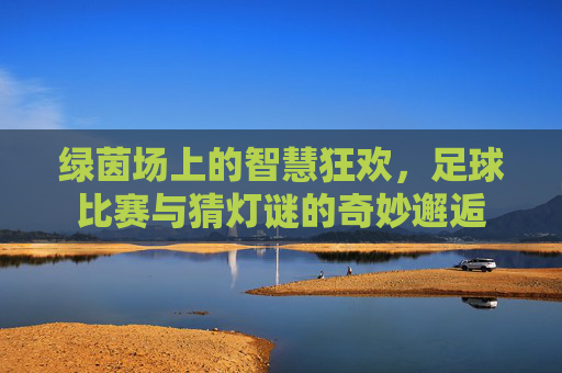 绿茵场上的智慧狂欢，足球比赛与猜灯谜的奇妙邂逅