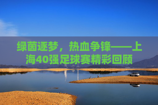 绿茵逐梦，热血争锋——上海40强足球赛精彩回顾