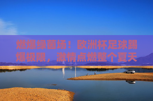 燃爆绿茵场!欧洲杯足球踢爆极限,激情点燃整个夏天