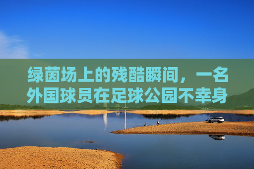 绿茵场上的残酷瞬间,一名外国球员在足球公园不幸身亡