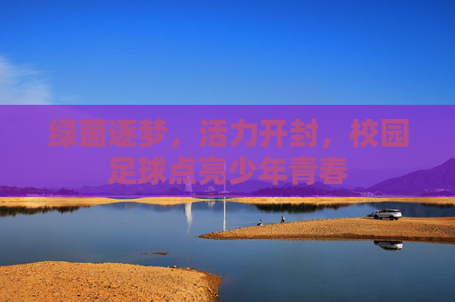 绿茵逐梦，活力开封，校园足球点亮少年青春
