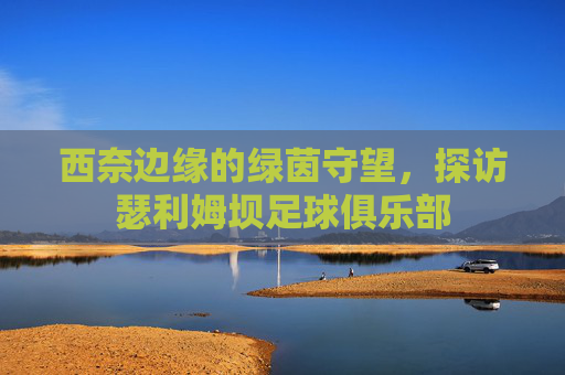 西奈边缘的绿茵守望，探访瑟利姆坝足球俱乐部